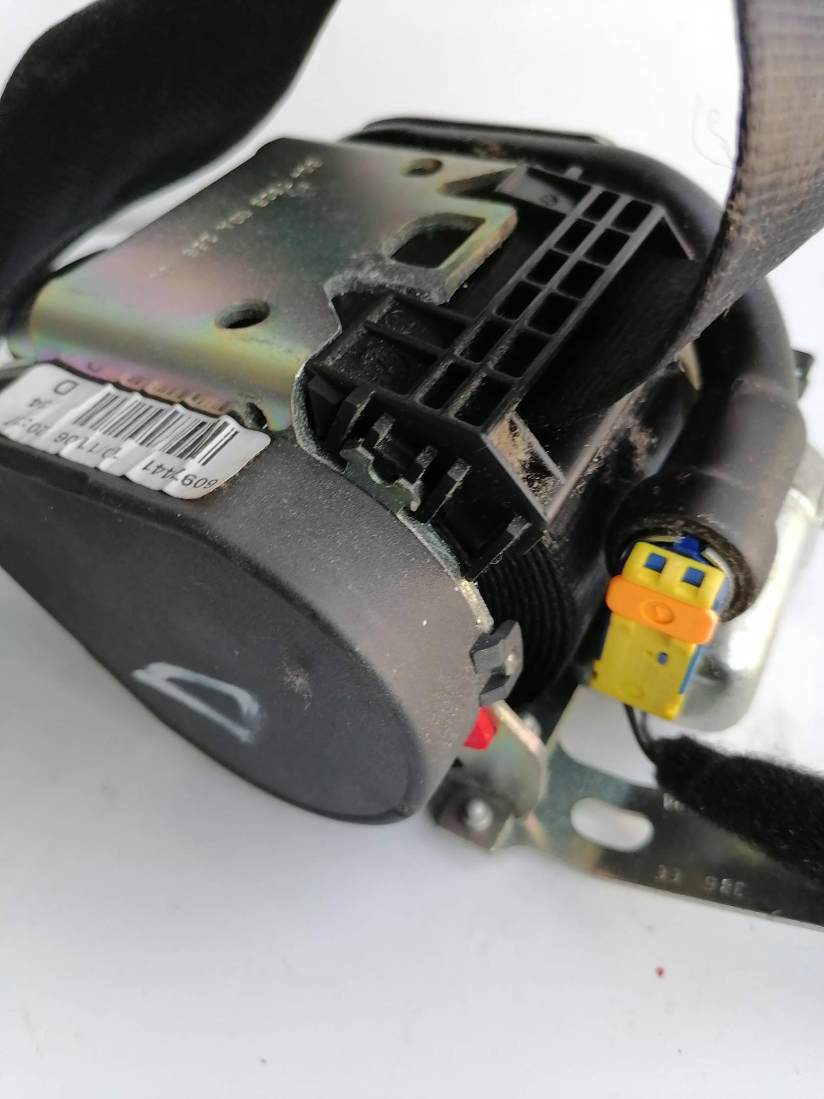 Cintura di sicurezza ant. dx.